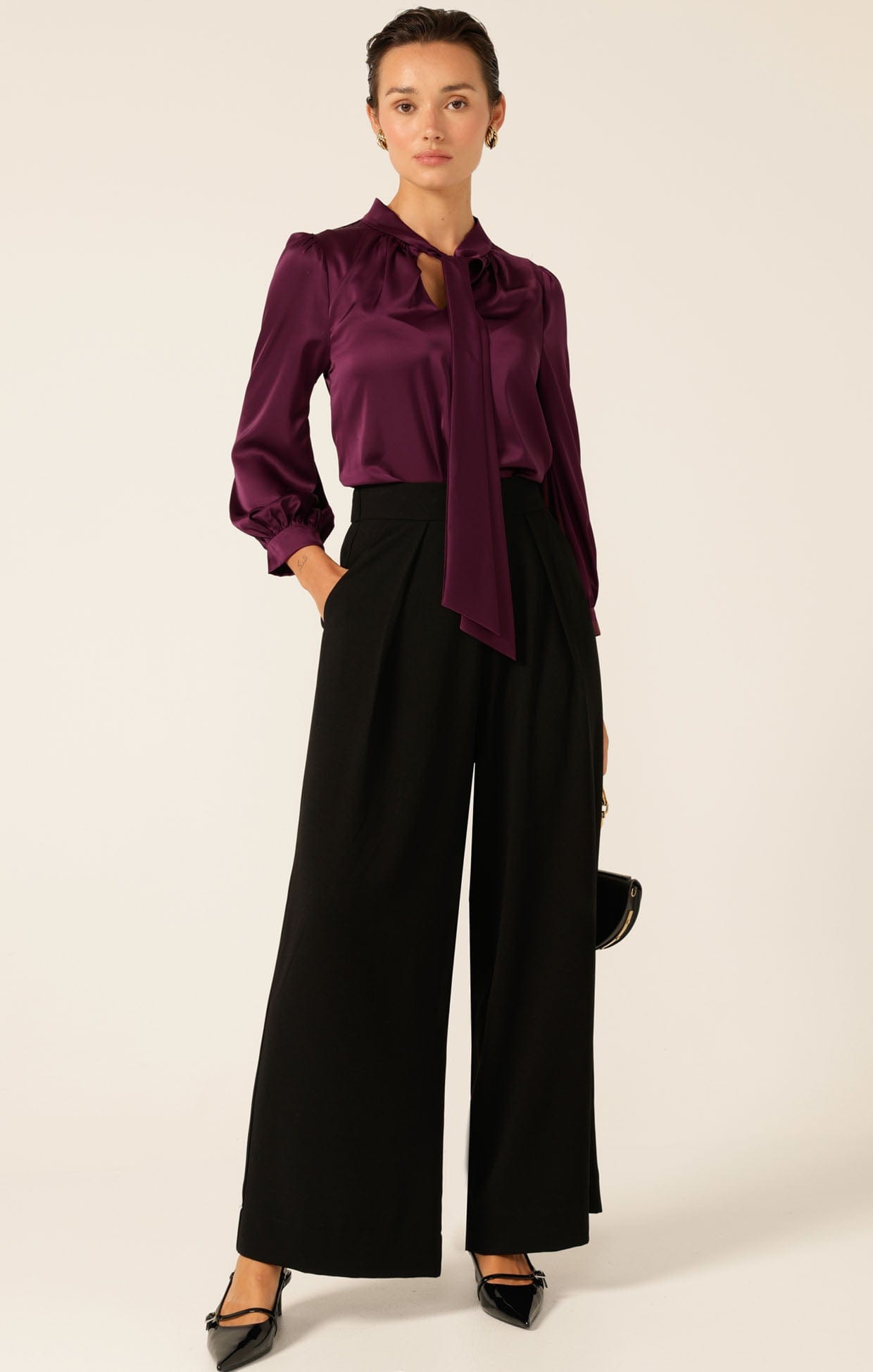Pants Multi Occasion PLEATED TROUSER